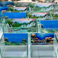 Hồ Kính Giá Rẻ ( CÓ SHIP HỎA TỐC )-hồ kính có nền tranh 3D, độ dày cao,nhiều size phù hợp nuôi ốc mượn hồn và làm bể cá.