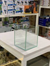 HỒ KÍNH VIỆT NHẬT 15x15x18CM (DXRXC)