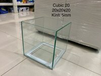 HỒ KÍNH VIỆT NHẬT 20x20x20CM (DXRXC)