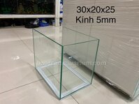 HỒ KÍNH VIỆT NHẬT 30x20x25CM (DXRXC)