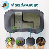 Hồ nhựa nuôi rùa, chậu nuôi rùa có chỗ leo, Hộp nhựa nuôi rùa cỡ LỚN