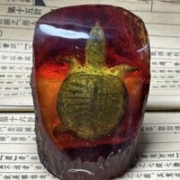 Hổ Phách Sáp Ong Côn Trùng Động Vật Rùa Đá Thô Côn Trùng Đồ Trang Trí Bọ Cạp Mẫu Vật Thủ Công Văn Phòng Phòng Phòng Khách Khắc 7.7.39