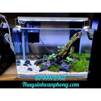 Hồ Thủy Sinh văn phòng, thủy sinh để bàn làm việc, mô phỏng thảm cỏ thiên nhiên, lũa gỗ