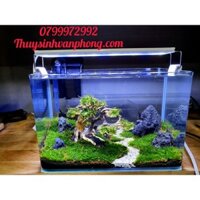 Hồ Thủy Sinh văn phòng, thủy sinh để bàn làm việc, mô phỏng thảm cỏ thiên nhiên, lũa gỗ bon sai, cổ thụ