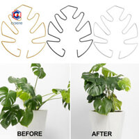 Hỗ trợ cây trồng trong vườn Giá đỡ cây ngoài trời Kim loại Monstera Kẹp hỗ trợ cây trồng cho cây leo Giá đỡ thân cây chắc chắn để tăng trưởng khỏe mạnh Đông Nam Á được yêu thích