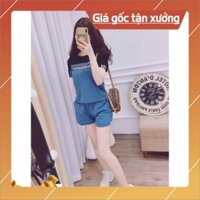 [HỖ TRỢ ĐỔI TRẢ] Free ship (S95) Bộ quần áo nữ D + quần đùi