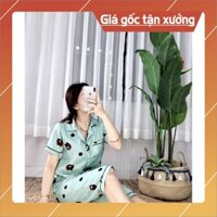 [HỖ TRỢ ĐỔI TRẢ] (XẢ KHO) BỘ NGỦ PIJAMA KATE THÁI TAY NGẮN QUẦN LỬNG