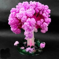 Hoa anh đào thần kỳ tự nở hoa MAGIC SAKURA TREE đồ chơi STEM sáng tạo cho bé làm ảo thuật