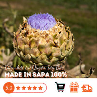 Hoa Atiso Núi Rừng SAPA 500g