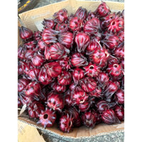 HOA ATISO TƯƠI ( 3 KG )