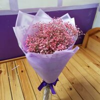 Hoa babi hàn quốc