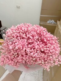 Hoa baby khô bó 125g cao cấp cắm lọ hoa decor, bình hoa trang trí. - Hồng 2