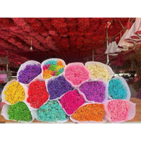 Hoa baby khô bó 400g