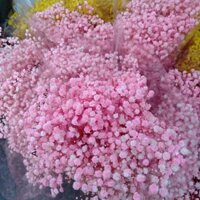 HOA BABY KHÔ HÀNG TRUNG - HOA ĐẦU NỞ TO(80-100G)