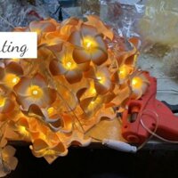 Hoa bách hợp 10m 100 bông sẵn hàng