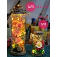 Hoa bất tử số 02.