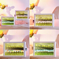 Hoa Biển DIY Nightlight Ins Tulip Lamp Chất Liệu Gói Ánh Sáng Bầu Không Khí Lãng Mạn