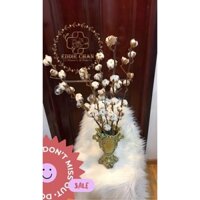 Hoa Bông Gòn (Hoa tươi sấy khô) #186k/ 1 cành