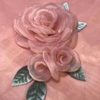 HOA CÀI ÁO HỒNG DÂU