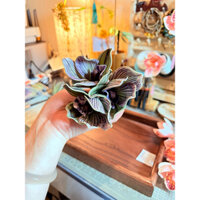 Hoa cài tóc , phụ kiện chụp ảnh áo dài tết 2025