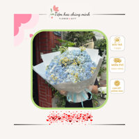 hoa cẩm chướng tươi