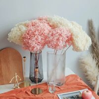 Hoa Cẩm Tú Cầu Khô Size 20-30cm Hoa Cẩm Tú Cầu Trang Trí Hoa Cẩm Tú Cầu Decor