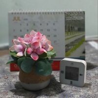 Hoa Cẩm Tú Cầu trang trí bằng đất sét