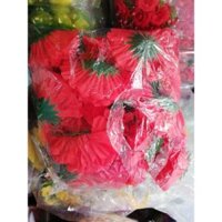 Hoa Cẩm Tú cầu trang trí