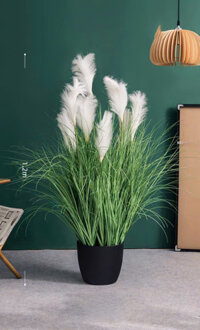 Hoa cỏ lau 5 bông trang trí quán cà phê, nhà hàng, phòng khách