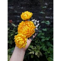 Hoa cúc cài áo dài ( Nhận order các màu )