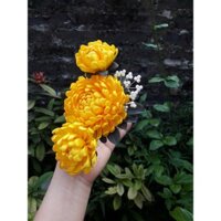 Hoa cúc cài áo dài