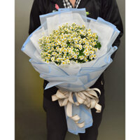 Hoa cúc tana tươi (1 bó)| Ship hỏa tốc