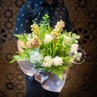 Hoa Dạ Lan Hương