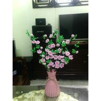 Hoa đào kẽm nhung