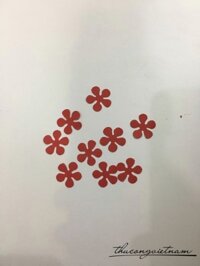 Hoa dập hình 5 cánh đỏ