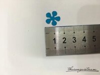 Hoa dập hình 5 cánh xanh lam