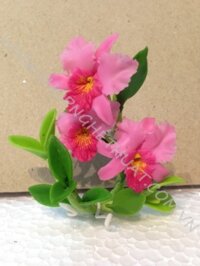 Hoa đất mini - Hoa Lan Hoàng Hậu - Kiểu 1 - Mã: 43