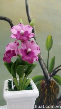 Hoa đất mini - Lan Dendro - Kiểu 4 - Mã 38