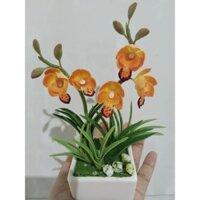 Hoa địa lan đất sét mini