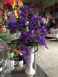 Hoa Địa Lan Tím - Mã: HPL 143