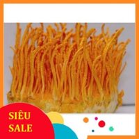 Hoa đông trùng hạ thảo Hàn Quốc lọ 45g