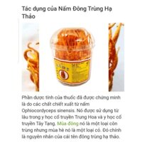 Hoa đông trùng hạ thảo