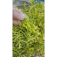 Hoa đu đủ đực sấy