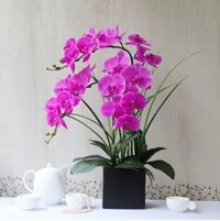 Hoa giả, bình hoa lan hồ điệp cao su loại 1 đẹp giống thật cao 55cm để bàn trang trí phòng khách sang trọng BL-03 - 1 chậu tím - vuông đen