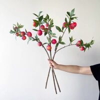 Hoa giả - Cành trái mận