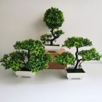 Hoa giả cây xanh trang trí trong nhà, trang trí phòng khách, cây nhựa thông trong chậu, hoa giả trang trí