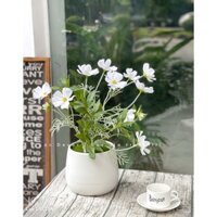 Hoa giả - Chậu hoa giả để bàn trang trí quán cafe, phòng ngủ, bàn làm việc, phòng khách, đẹp tự nhiên giống hết cây thật