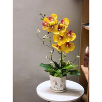 Hoa giả - Chậu lan hồ điệp cắm sẵn trang trí giống thật đến 99%