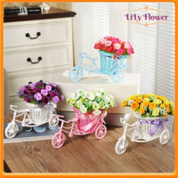 Hoa Giả Giỏ Hoa Xe Đạp Cắm Sẵn Nhiều Mẫu Hoa Độc Đáo Trang Trí Kệ Tủ Giá Sách Bàn Học LL-230