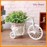 Hoa Giả Giỏ Xe Đạp Độc Đáo Cắm Sẵn Hoa Gạo Trang Trí Nhà Cửa Phòng Khách Phòng Ngủ LL-204
